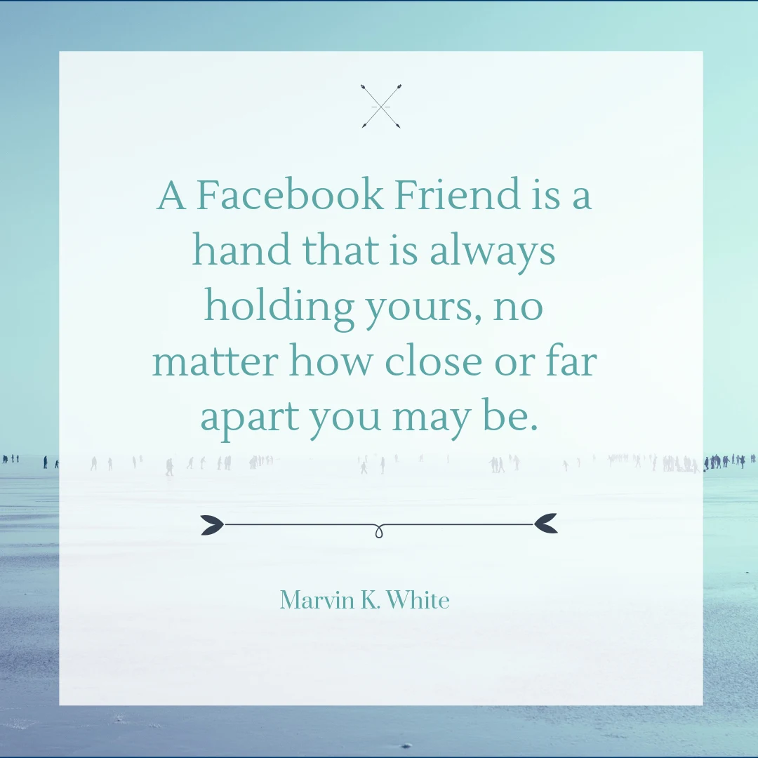 Facebook Friends book cover